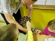 Obojživelníci a plazi